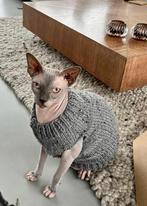 Warme trui kattenkleding Sphynx kat kitten Rex  Handmade, Dieren en Toebehoren, Verzenden, Nieuw