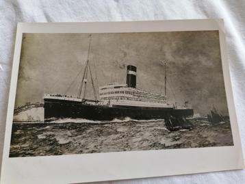 oude foto Red Star Line - Minnewaska beschikbaar voor biedingen