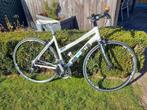 dames sport trimfiets, Gebruikt, 47 tot 50 cm, Meer dan 20 versnellingen, Ophalen