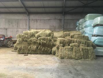 kleine balen hooi te koop beschikbaar voor biedingen