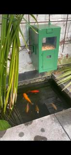 Automatische voerbak, Dieren en Toebehoren