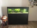 Aquarium met toebehoren, Ophalen, Zo goed als nieuw