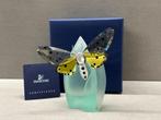 Swarovski Paradise Amorita Jonquil, Verzamelen, Ophalen of Verzenden, Nieuw, Figuurtje