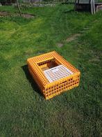 Cageots de transport pour volailles, Dieren en Toebehoren, Transportboxen, Gebruikt, Ophalen of Verzenden