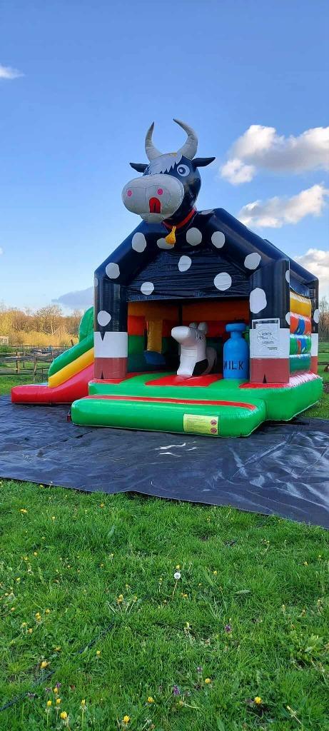 Springkasteel Frozen,Koe of Piraat te huur, Hobby en Vrije tijd, Feestartikelen | Verhuur, Zo goed als nieuw, Ophalen