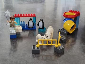 LEGO Duplo 5633 – Polar Zoo beschikbaar voor biedingen