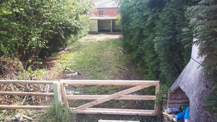 Entretien jardins, Jardin & Terrasse, Gazon & Gazon artificiel, Neuf, Herbe, 20 m² ou plus, Enlèvement