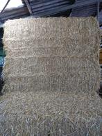 A.V. Ballots paille 120/90/2m20. 330kg, Zakelijke goederen, Landbouw | Veevoer, Ophalen