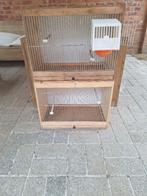 2 Broedkooien - kanarie