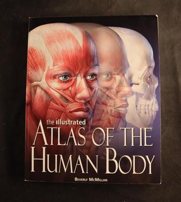 Rijk geïllustreerd groot boek over anatomie beschikbaar voor biedingen