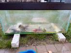 Aquarium 1m20 lang en 40 cm breedte 50 hoogte, Enlèvement, Comme neuf, Aquarium vide