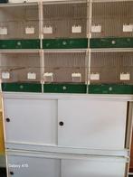 PVC-kooien, Dieren en Toebehoren, Ophalen of Verzenden, Gebruikt, Overige materialen, Broedkooi of Kweekkooi