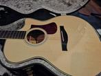 MARTIN  COLLINGS  SANTA CRUZ GUITAR COLLECTION, Muziek en Instrumenten, Snaarinstrumenten | Gitaren | Akoestisch, Ophalen of Verzenden