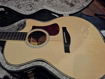 MARTIN  COLLINGS  SANTA CRUZ GUITAR COLLECTION beschikbaar voor biedingen