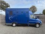 Mercedes-Benz Sprinter PAARDENWAGEN Nuyts 2XL | AUTOMAAT, Dieren en Toebehoren, Ophalen, Gebruikt, Hout, Overige typen