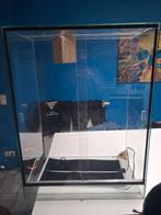 Paludarium, Dieren en Toebehoren, Ophalen of Verzenden, Zo goed als nieuw, Terrarium of Paludarium