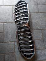 Bmw grill