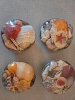 Nieuw !! Schelpen geschenkmandjes., Verzamelen, Mineralen en Fossielen, Ophalen of Verzenden, Schelp(en)