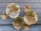 Mooie wanddecoratie 3D metalen bloemen, Huis en Inrichting, Woonaccessoires | Kransen, Ophalen, Zo goed als nieuw