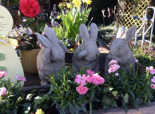Betonnen tuinbeeld - set van 3 konijnen horen, zien en zwijg, Jardin & Terrasse, Statues de jardin, Neuf, Animal, Béton, Envoi