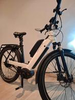 Riese und Muller Nevo2 hs / speedpedelec, Fietsen en Brommers, Ophalen, Gebruikt