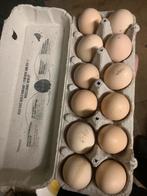 Verse kippen eieren, Dieren en Toebehoren, Ophalen, Zo goed als nieuw