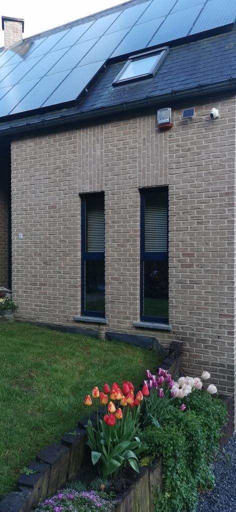 Briques Magnolia Anderlecht, Ophalen, Bakstenen