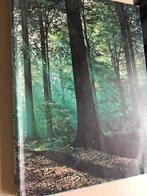 Natuur- en vogelreservaten 5 De Brabantse bossen, Envoi, Utilisé