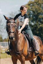 Zadelmak maken & trainen van uw paard, Dieren en Toebehoren, Accessoires, 4 paarden of pony's of meer