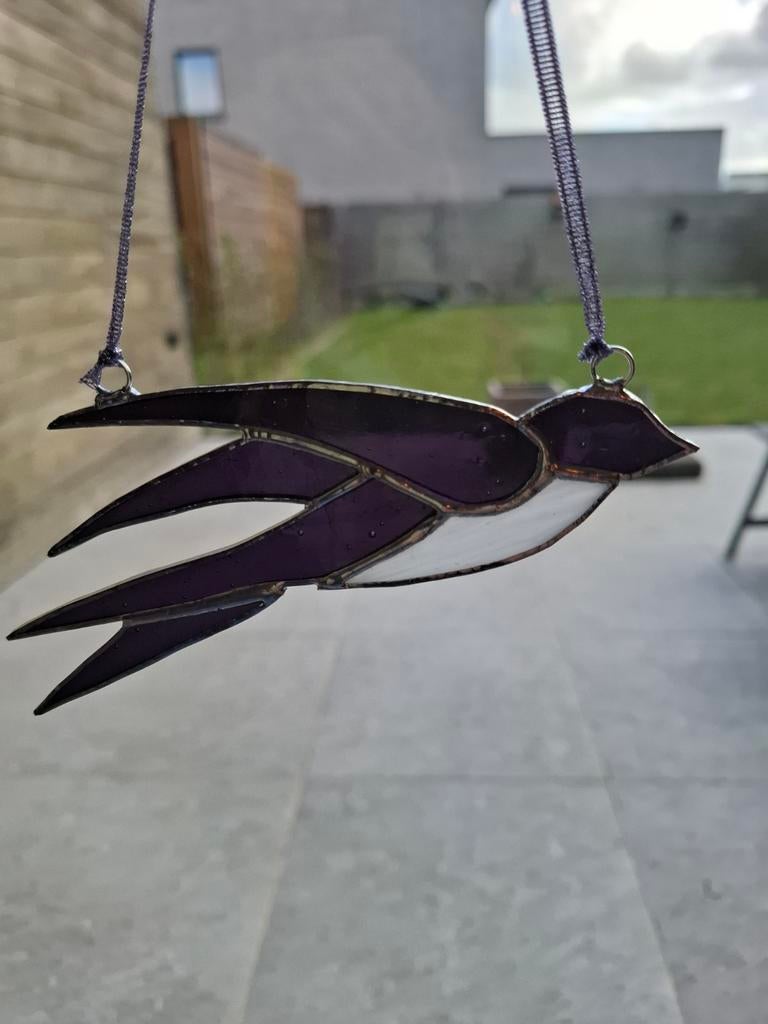 Zwaluw, Ophalen of Verzenden