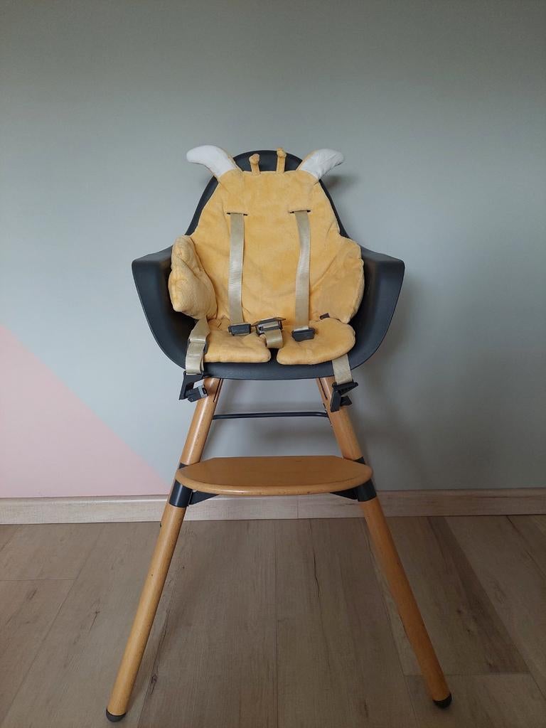 Kinderstoel Evolu Childhome, Ophalen