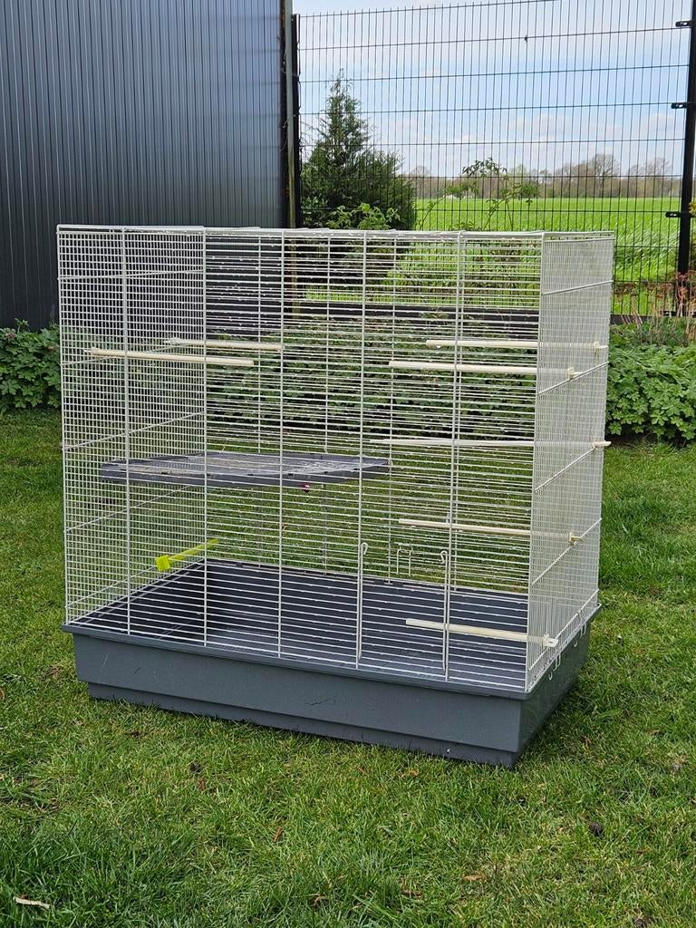 Mooie grote kooi voor vogels of knaag dieren, Ophalen