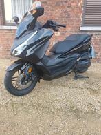 Honda forza 350cc, Particulier, Scooter