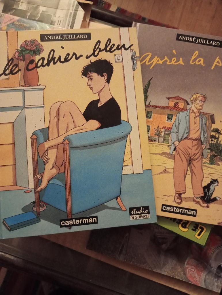 BD "Le cahier bleu" et "Après la pluie", Meerdere stripboeken, Verzenden, Zo goed als nieuw