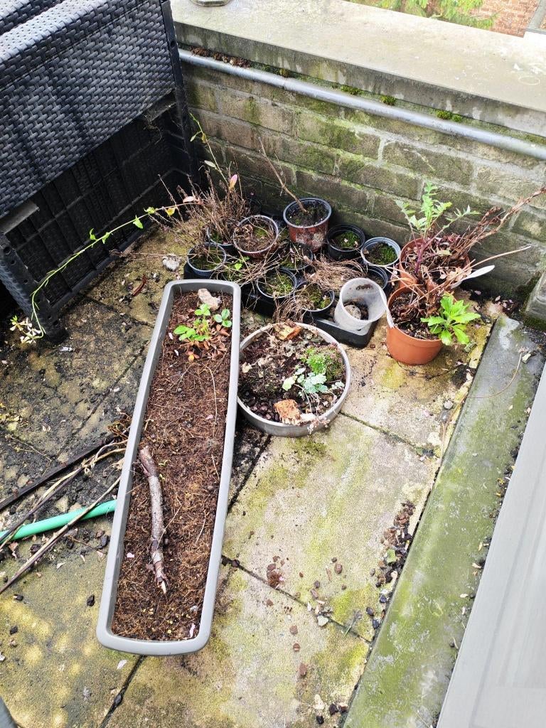 Kweekpotten, Ophalen, Gebruikt, Kweekbak