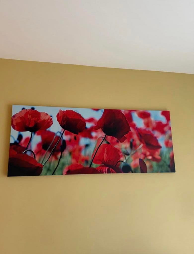 IKEA klaproos wanddecoratie - schilderij op canvas., Ophalen