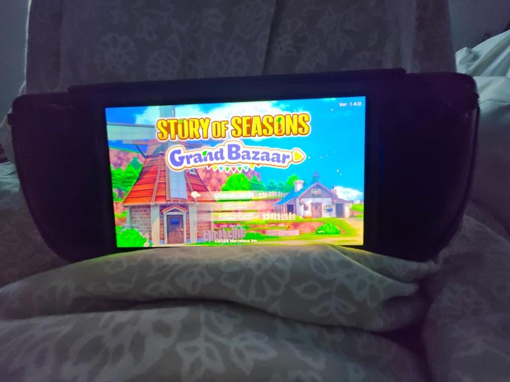 Steamdeck oled 1tb, Consoles de jeu & Jeux vidéo, Jeux | Nintendo Switch