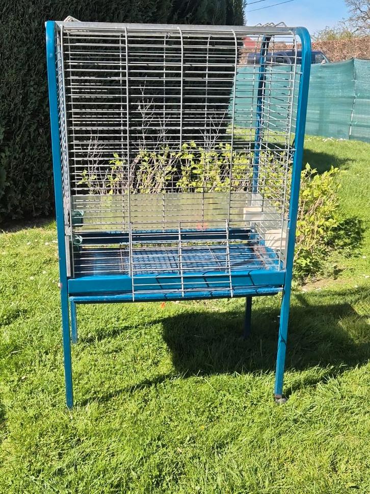 cage perroquet, grande perruche, Dieren en Toebehoren, Overige Dieren-accessoires