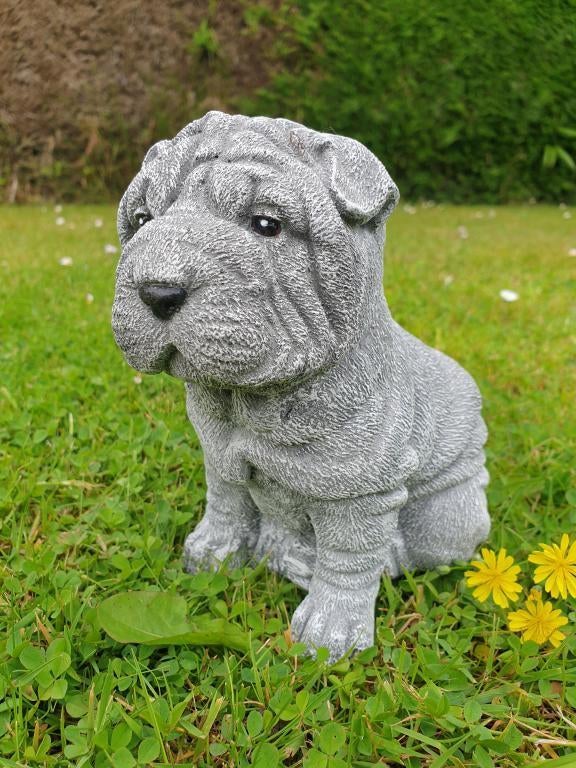 shar-pei hond , beeld beton, Ophalen of Verzenden, Nieuw, Beton