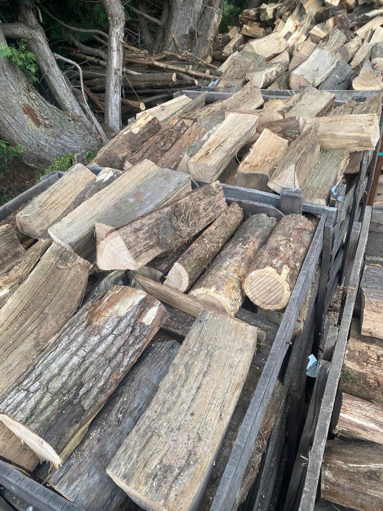 Brandhout, Enlèvement ou Envoi, Chêne