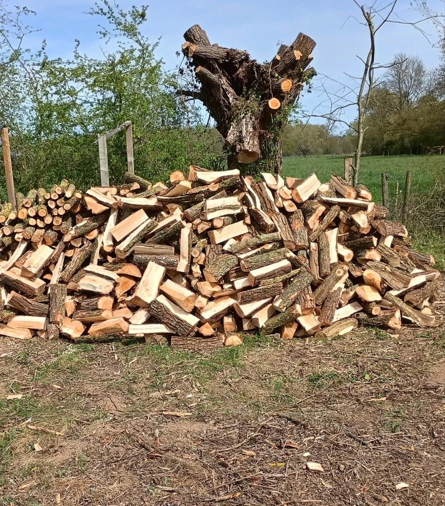 5m³ wilg nat, 3 tot 6 m³, Ophalen of Verzenden, Overige houtsoorten, Blokken