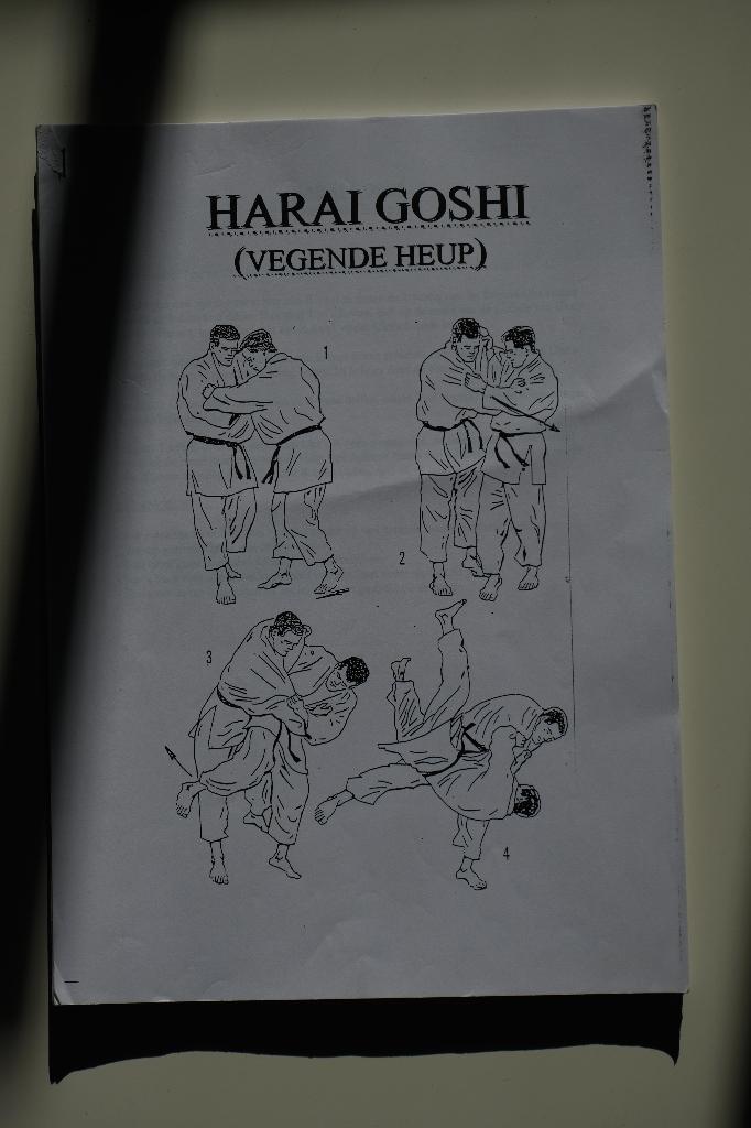 Cursusmateriaal judo (oranje en groen), Sport en Fitness, Vechtsporten en Zelfverdediging, Gebruikt, Judo, Vechtsportmaterialen