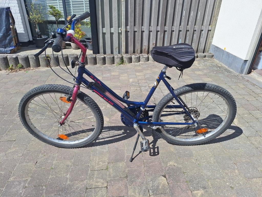 Kettler dame medium, Enlèvement