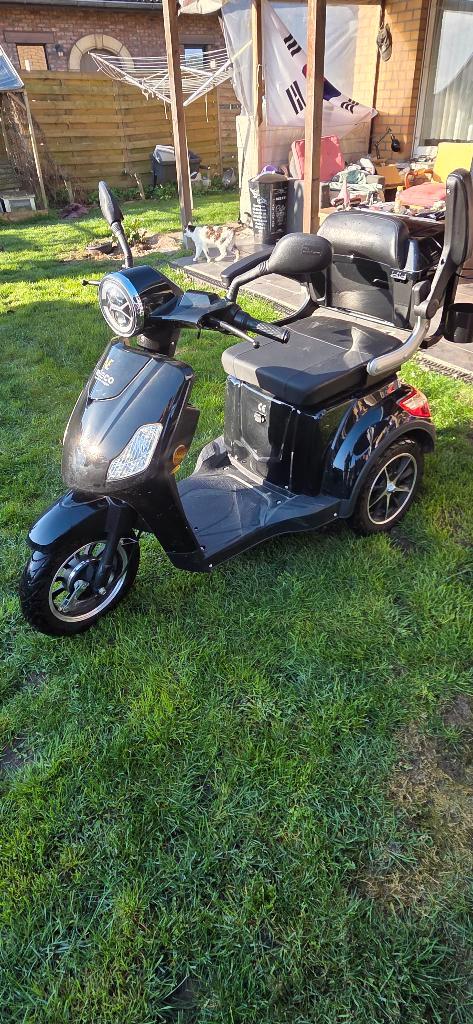 mobility scooter, Diversen, Brommobielen en Scootmobielen, Zo goed als nieuw, Overige merken, 11 t/m 15 km/u, Ophalen