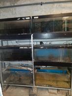 Aquarium stellingen, kweek stelling, quarantaine, Dieren en Toebehoren, Ophalen, Gebruikt, Leeg aquarium