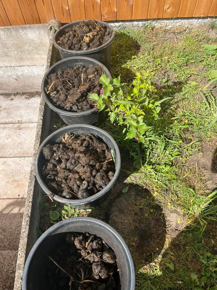 Ezelmest gratis in kleine of grotere hoeveelheden, Tuin en Terras, Aarde en Mest, Mest, Ophalen