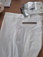 Rijbroek pikeur, Neuf, Vêtements d'extérieur, Enlèvement ou Envoi, Femmes