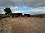 Weide te koop, Immo, 9120 Beveren-waas, Verkoop zonder makelaar, 1500 m² of meer