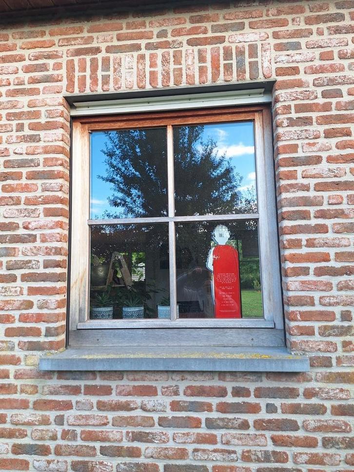 Houten ramen en achterdeur, Doe-het-zelf en Bouw, Raamkozijnen en Schuifdeuren, Gebruikt, Hout, Ophalen