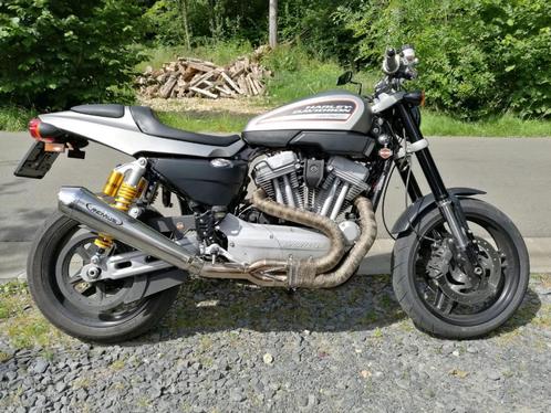 Harley XR 1200, Motoren, Motoren | Harley-Davidson, Particulier, Naked bike, meer dan 35 kW, 2 cilinders, Ophalen